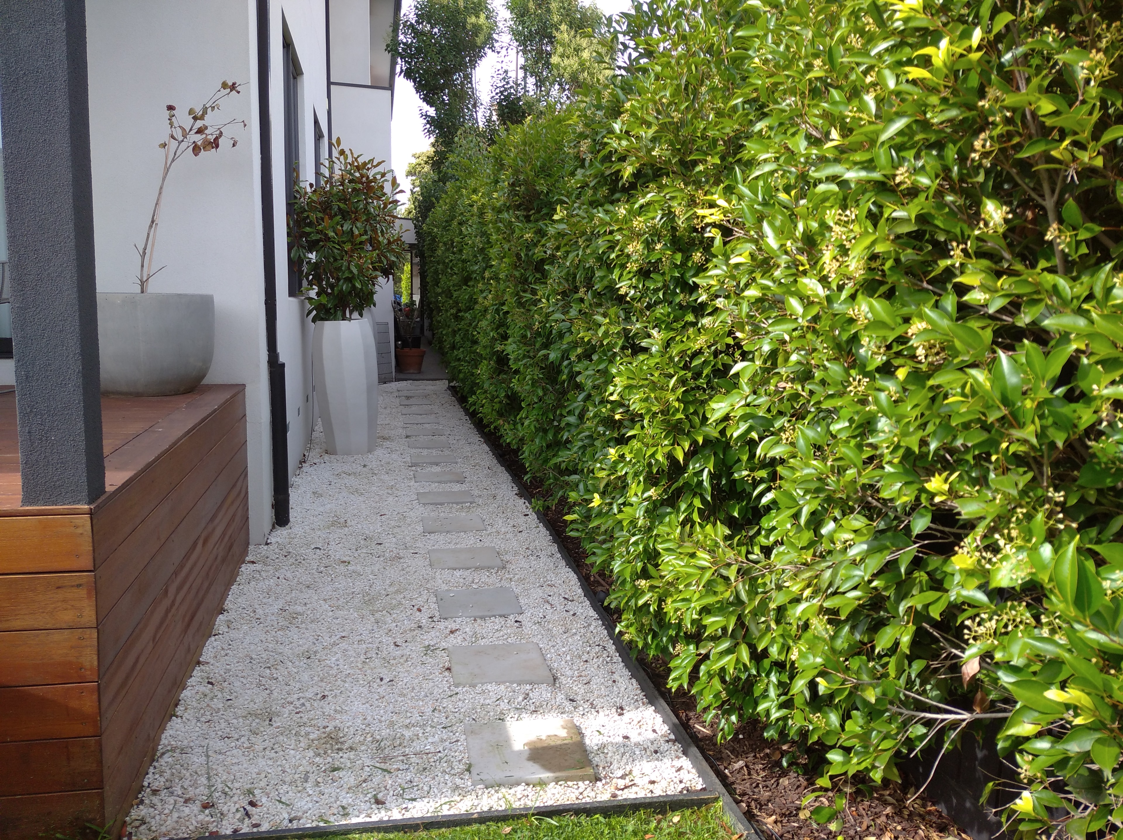 Garden Renovation — Elwood landscaping
