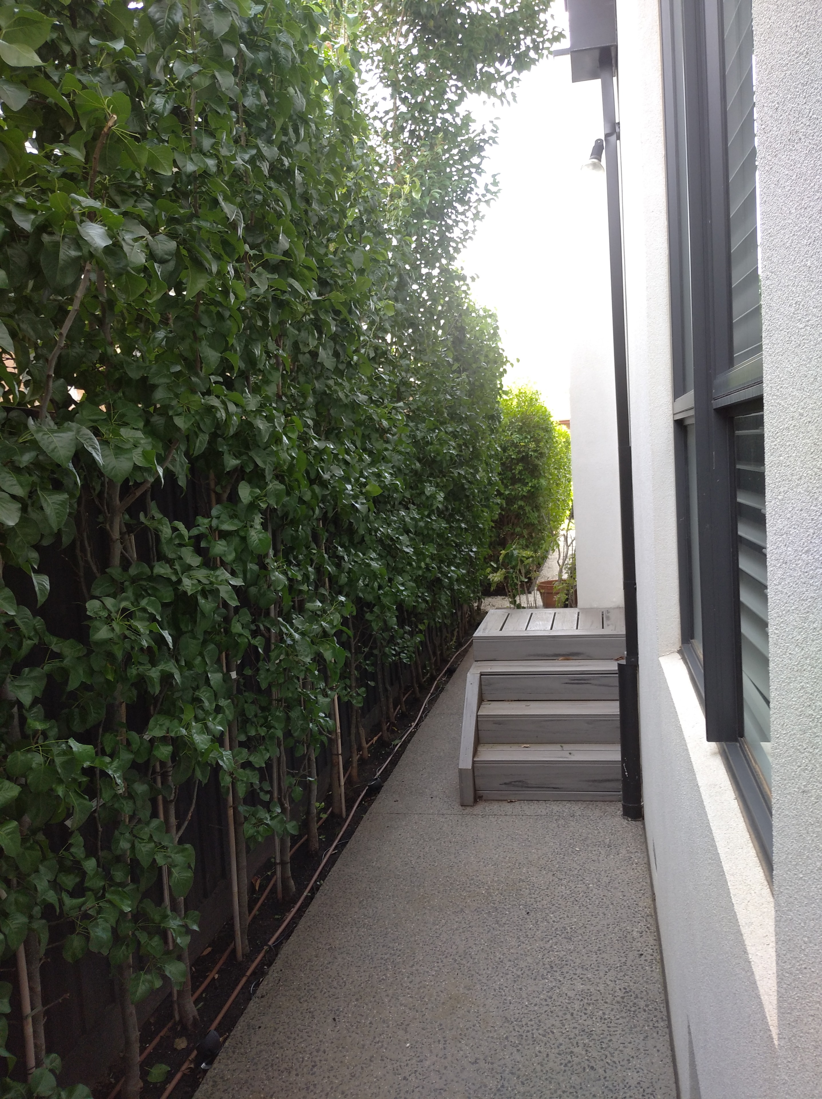 Lawn & Garden Makeover — Elwood landscaping